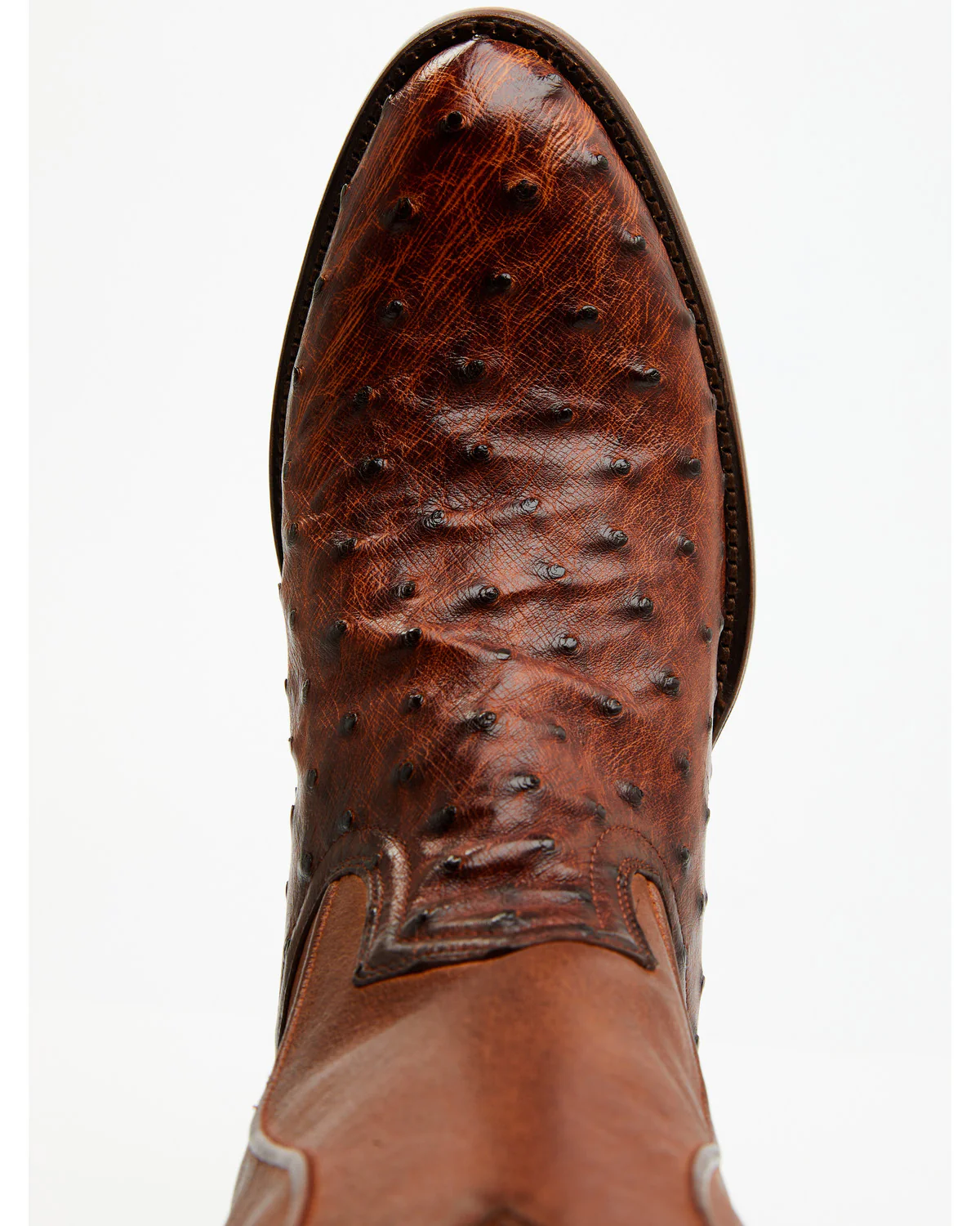 Cody James Black 1978® Men's Chapman Exotic Full-Quill Ostrich Western Boots - Round Toe - Image 6