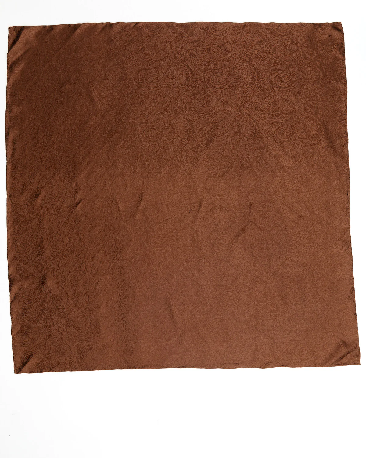 Cody James Men's Silk Wild Rag Scarf - Image 3